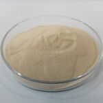 Amino Acid