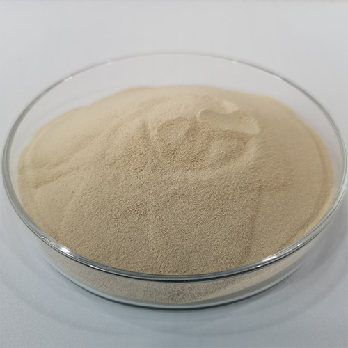 Amino Acid