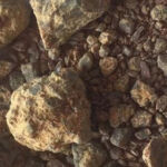 Rotenone