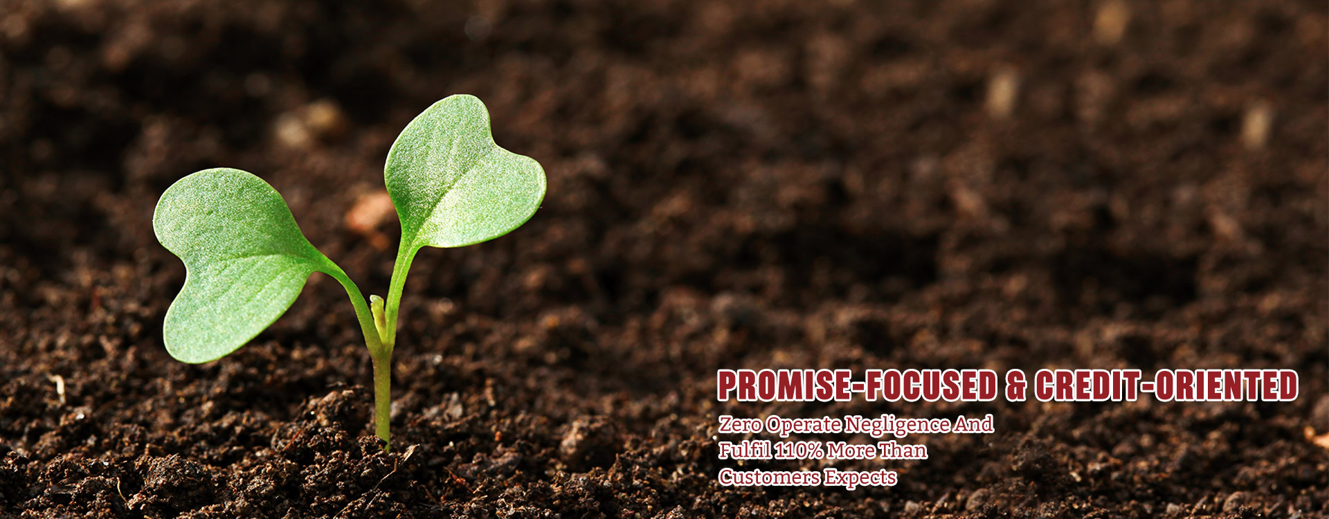 Types of Humic Acid Fertilizers Supplier in China – Baysource