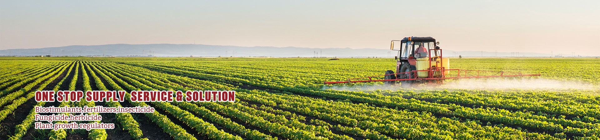 Types of Humic Acid Fertilizers Supplier in China - Baysource Types of Humic Acid Fertilizers Supplier in China - Baysource